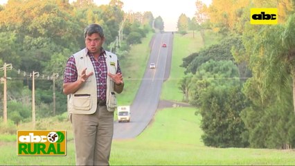 ABC Rural: Nutrición y manejo sanitario de ovinos en el Chaco