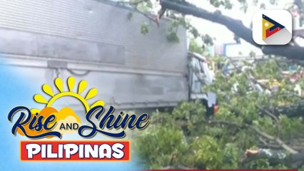 Bagong tatag na Climate Change Task Force ng CCC, nakatuon sa proteksyon at katatagan ng likas na yaman