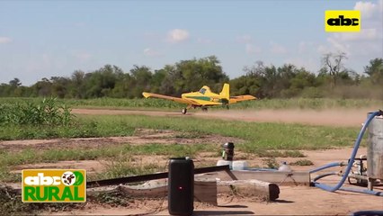 ABC Rural: Uso de aviones para aplicación de fitosanitarios para agricultura y ganadería