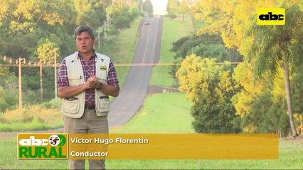 ABC Rural: Variedad de soja B 6500 R