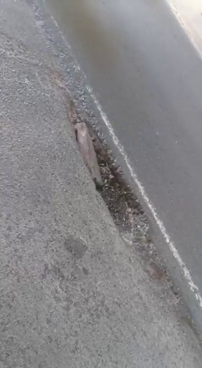 Baches en la avenida Ñu Guasu ocasiona accidentes