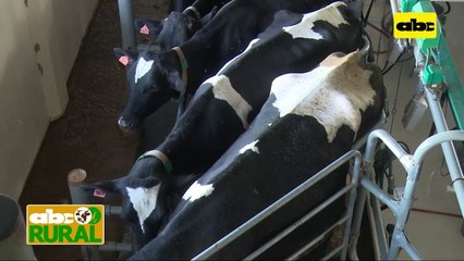 ABC Rural: Agricultura debe ir de la mano con la ganadería de leche