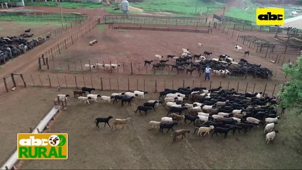 ABC Rural: Tenga en cuenta, nutrición de calidad