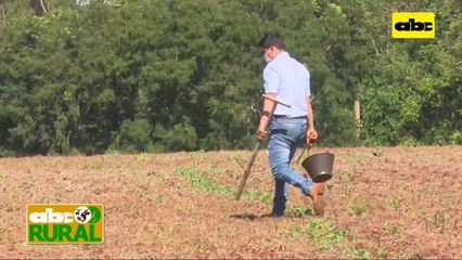 ABC Rural: Paso a paso, muestreo de suelo en agricultura de precisión
