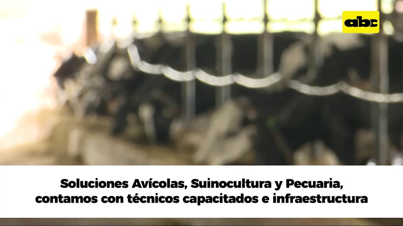 ABC Rural: Te recuerda la importancia del agua y su efecto en vacas lecheras
