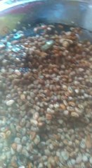 Porotos llenos de gorgojos (tigua'a).