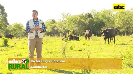 ABC Rural: Control de plagas en hidroponía, con productos naturales