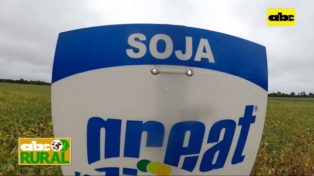 Abc Rural: Semillas de soja Great Seeds en el Chaco y su garantía