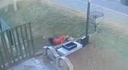 Ni Las Gallinas Perdonan!