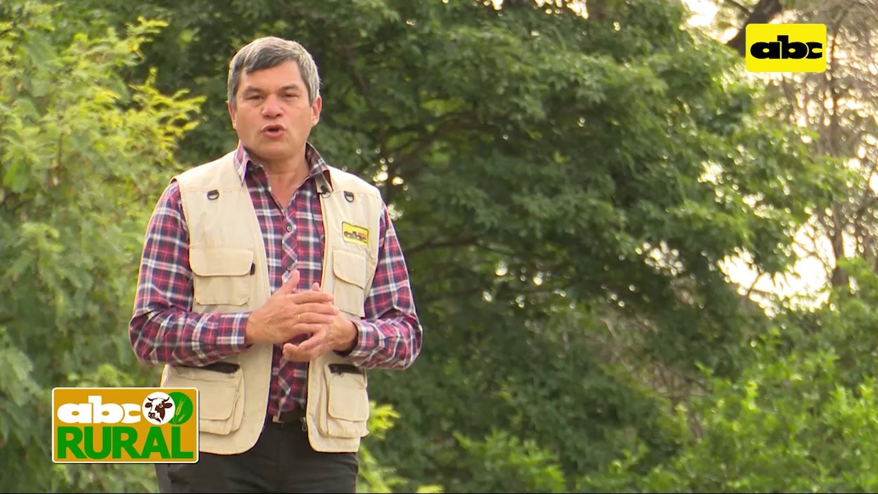 Abc Rural: BASF presentó variedades de soja para el Chaco