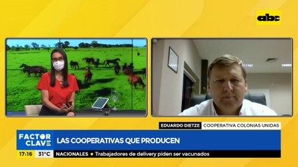 Cómo trabajan en la Cooperativa Colonias Unidas