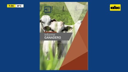 Enfoque Económico: proyecciones para el sector ganadero