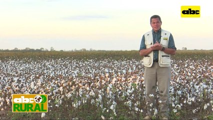 Abc Rural: Preocupa a Parpov uso de semillas ilegales