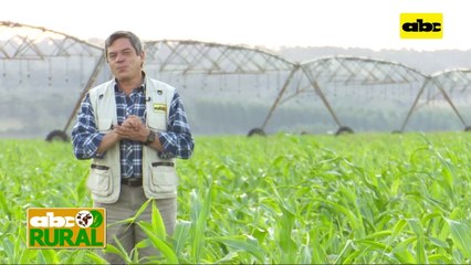 ABC Rural: Manejaba un camión, hoy maneja su producción hortícola