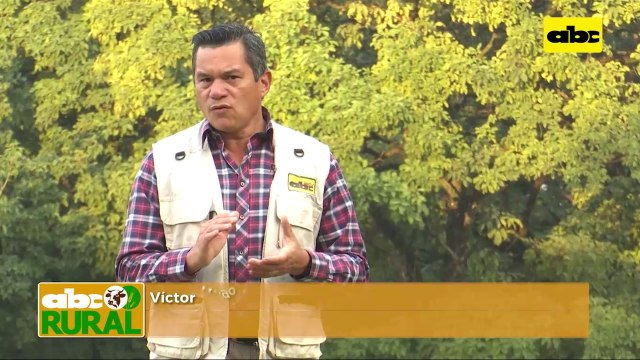 Abc Rural: Producción de Chía, su desarrollo y oportunidades del cultivo