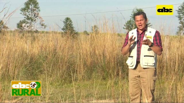 Abc Rural: Trabajo de encalado con agricultura de precisión y sus ventajas