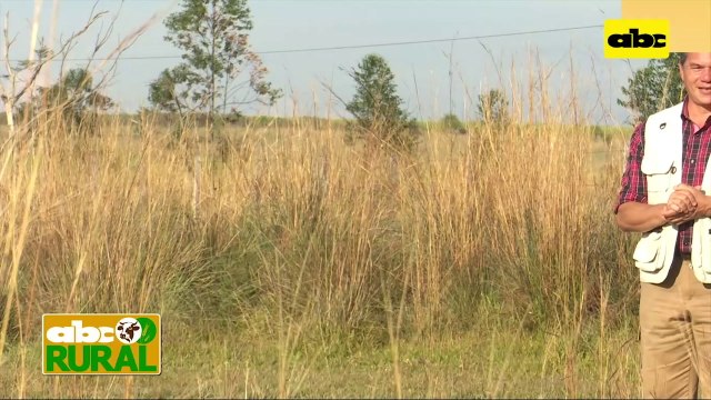 Abc Rural: En DVA hablan de tratamiento de semillas