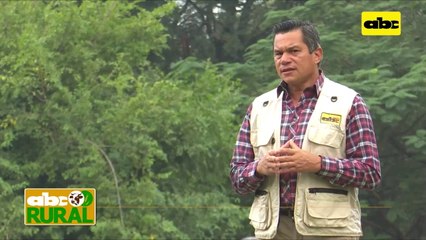 Nodulación de soja en el Chaco con productos bio