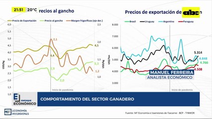 Enfoque Económico: comportamiento del sector ganadero