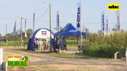 Abc Rural: Estrategias de fertilización de cultivo en el Chaco