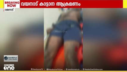 വയനാട് കാട്ടാന ആക്രമണം; പനമരത്ത് യുവാവിന് പരിക്ക്