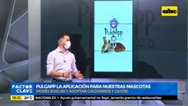 PulgApp la aplicación para nuestras mascotas