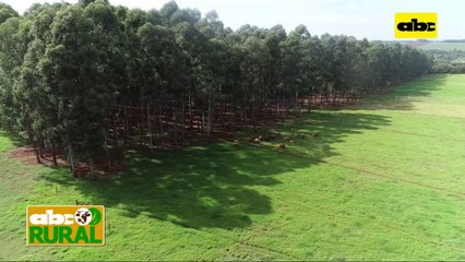 ABC Rural: Cuidado de nacientes y bosques