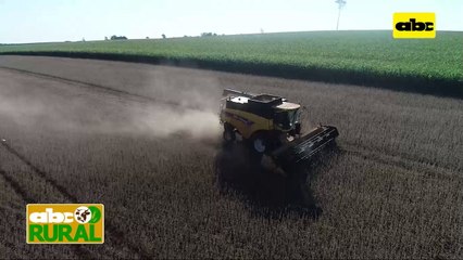ABC Rural: Cosecha de soja para semillas comerciales