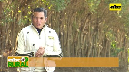 ABC Rural: Jornada de campo de Rainbow sobre control de malezas