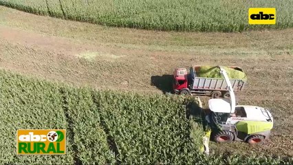 Abc Rural: Nueva tecnología en ensilado de maíz