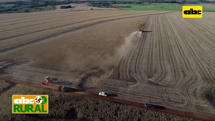 Abc Rural, Noticias Internacionales