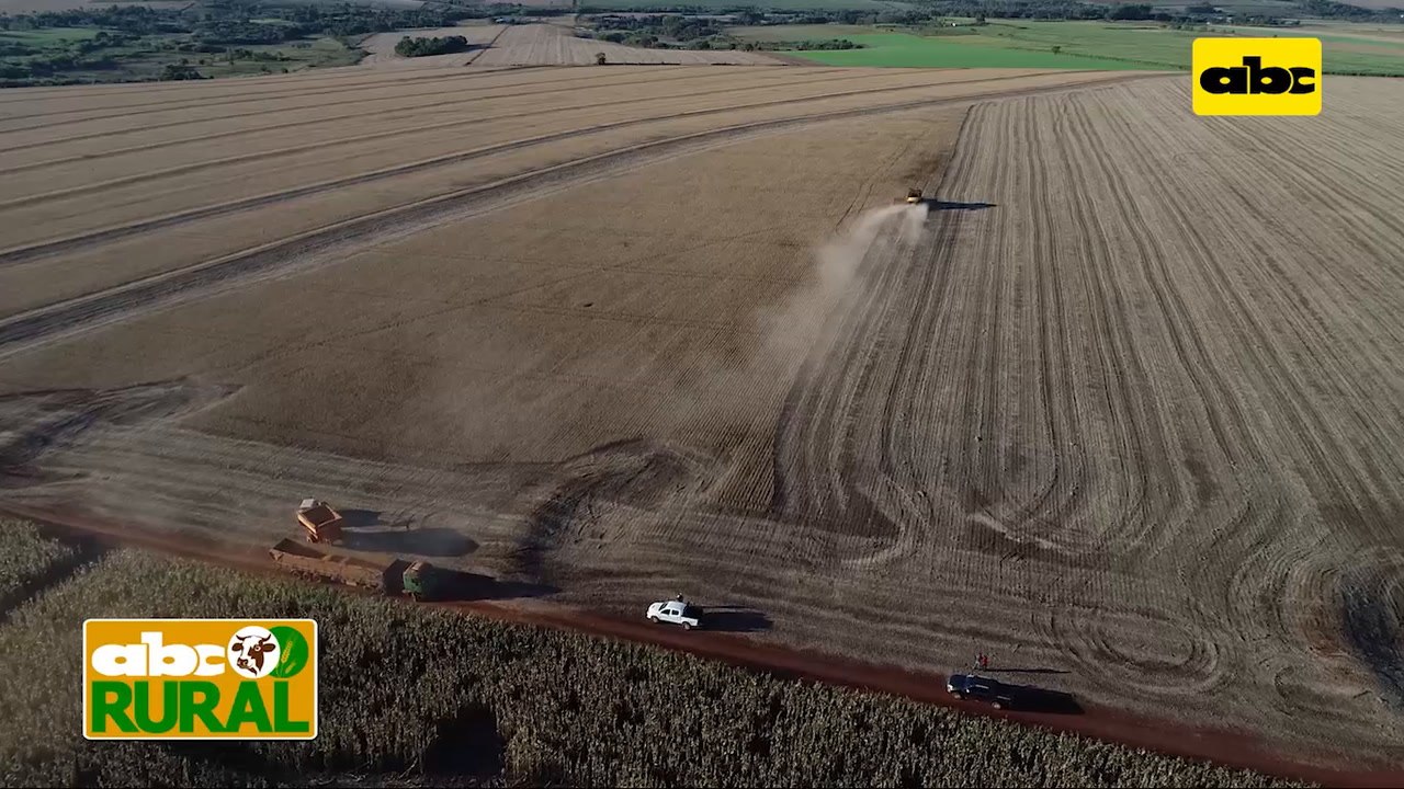 Abc Rural, Noticias Internacionales