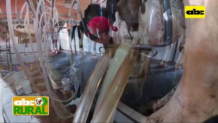 ABC Rural: Importancia del uso de selladores tras ordeño