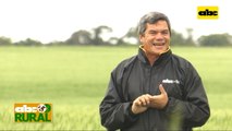 ABC Rural: Qué es la nanotecnología y su uso en la agricultura