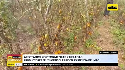 Afectados por tormentas y heladas