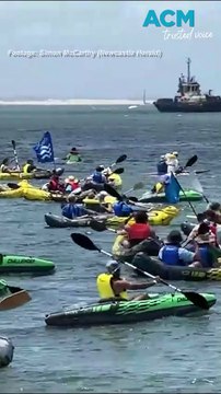 Climate protesters arrested for blocking world’s largest coal export port