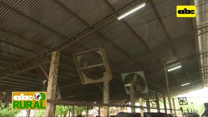 ABC Rural: Tenga en cuenta