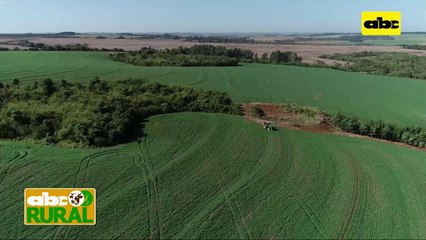ABC Rural: Pequeños, medianos y grandes pueden implementar la agricultura de precisión