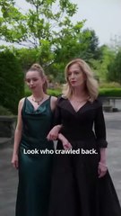 Stop Bullying His Girl the Boxer King Returns #Full Movie _ DRS _ ReelShort