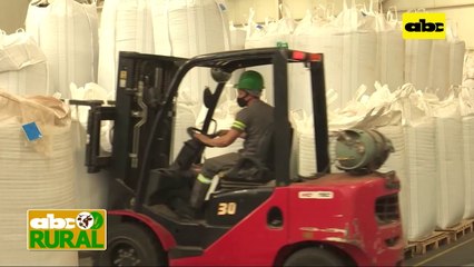 ABC Rural: Primera exportación de cáñamo o cannabis no psicoactivo en Paraguay