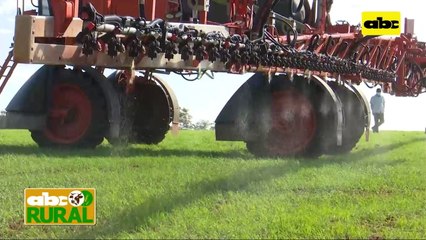 ABC Rural te recuerda: Desecantes o herbicidas