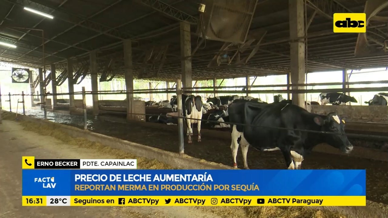Precio de la leche aumentaría