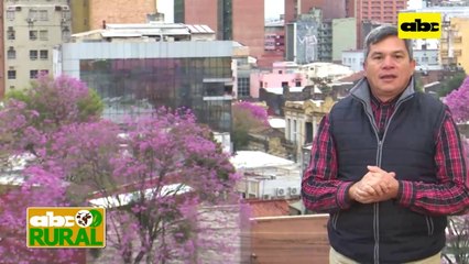 ABC Rural: Uso de bioinsumos en agricultura extensiva