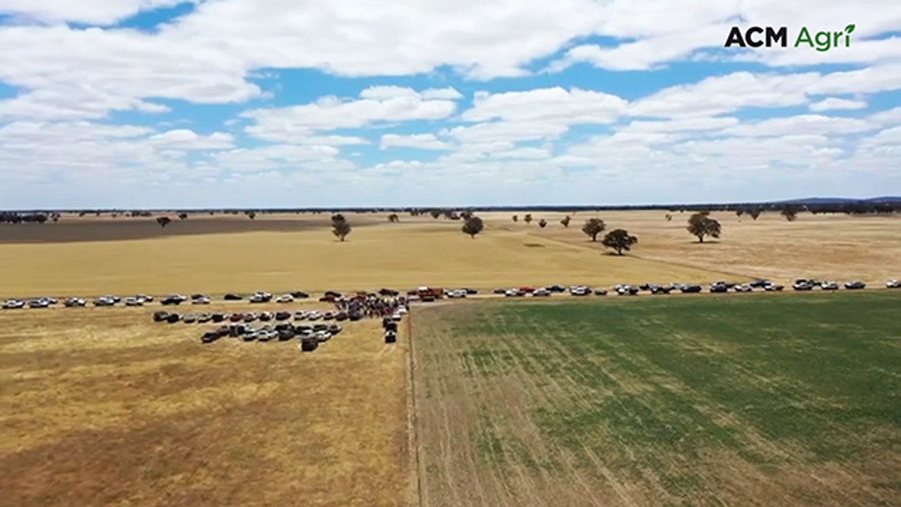 350 protesters block VNI West access at Wallaloo East