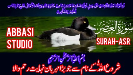 :Learn Surah Al Asr word by word (Surah Asr Repeated) How To Recite Quran Online:By Abbasi Studio:
