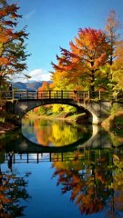 "Wandering Through Autumn: A Tranquil Pathway for Reflection Among Fall Colors"