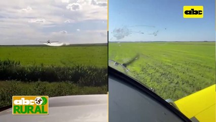 ABC Rural: Definición de zona que recibirá aplicación aérea y costos