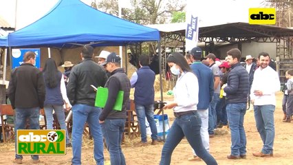 ABC Rural: Maíces híbridos en remate de Aprole