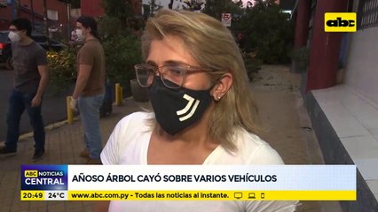 Añoso árbol cayó sobre vehículos