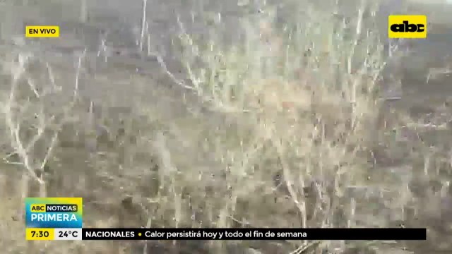 Cantidad de carros hidrantes en el Chaco no satisface ante cantidad de incendios